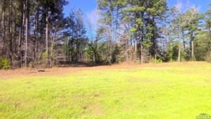 TBD S State Hwy 155