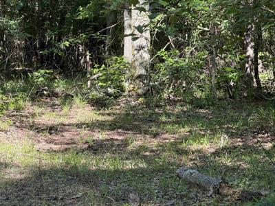TBD Seminole Loop