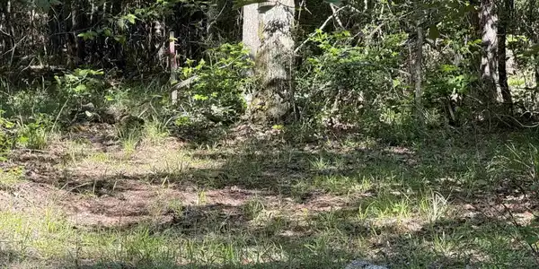 TBD Seminole Loop