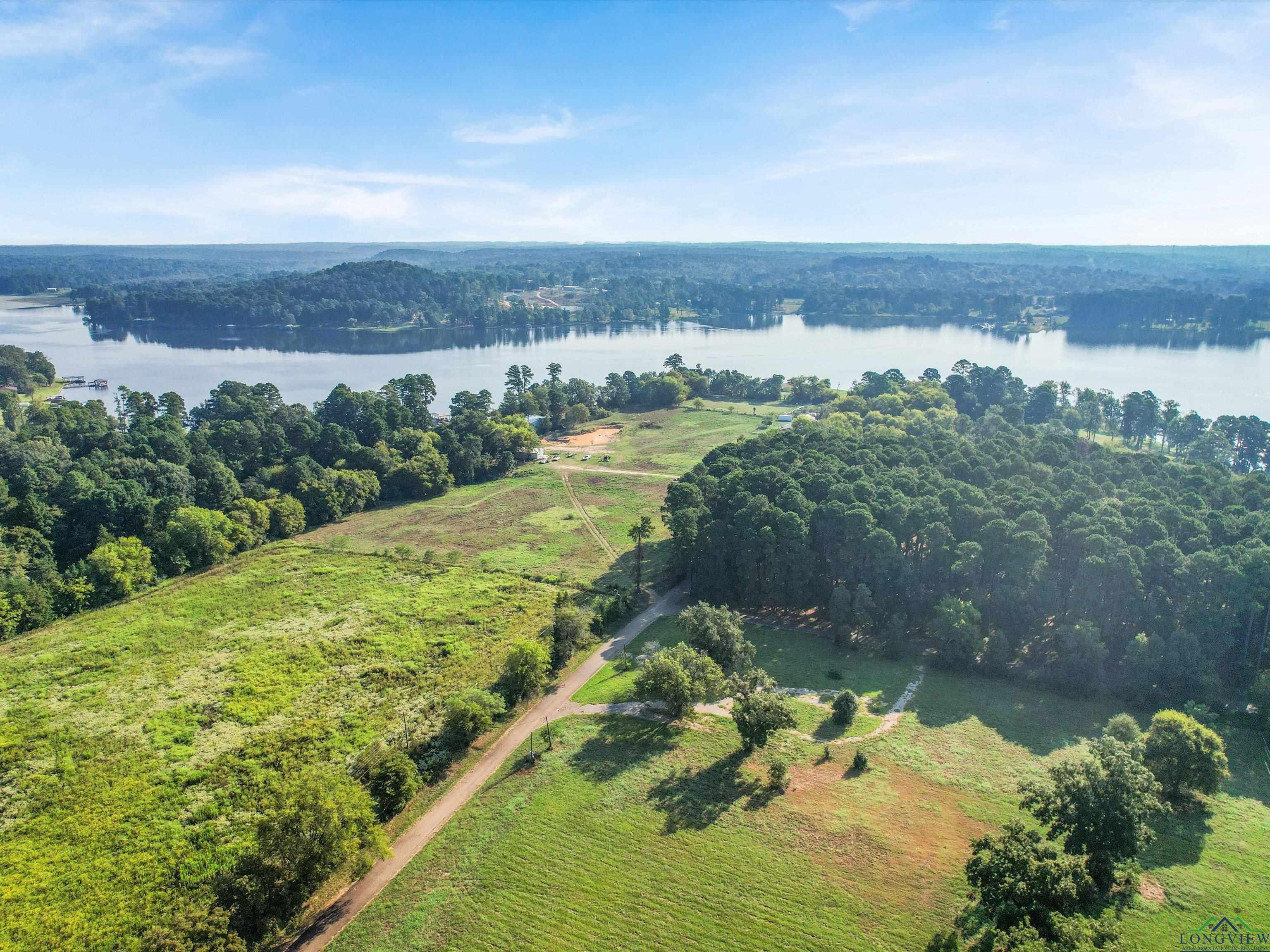 Image 2: Bird's eye view of a large body of water and a forest, Aerial View