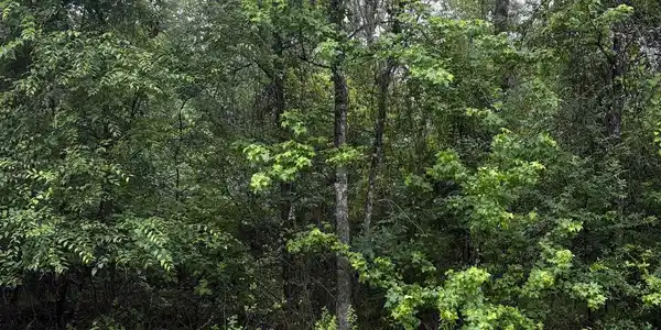 TBD LOT 561 TBD Eagle Bluff Loop Lot 561