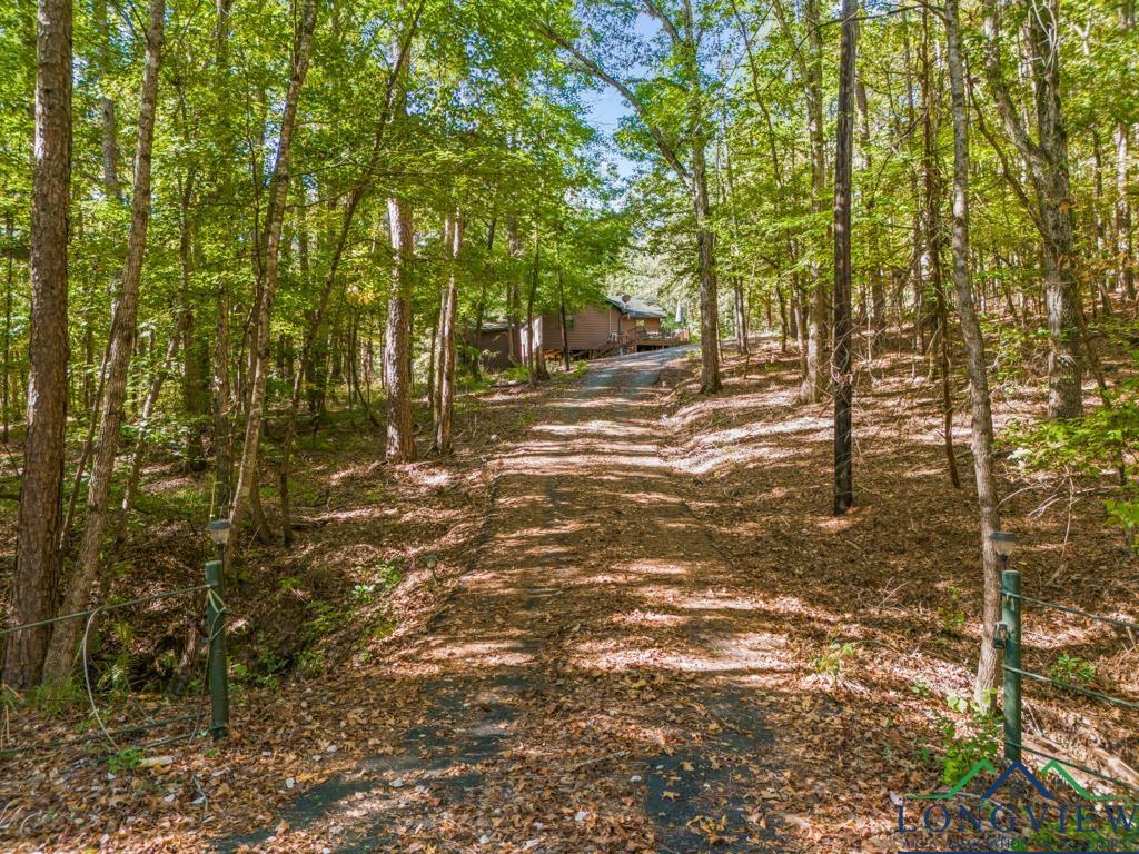 Image 0: View of yard, Yard