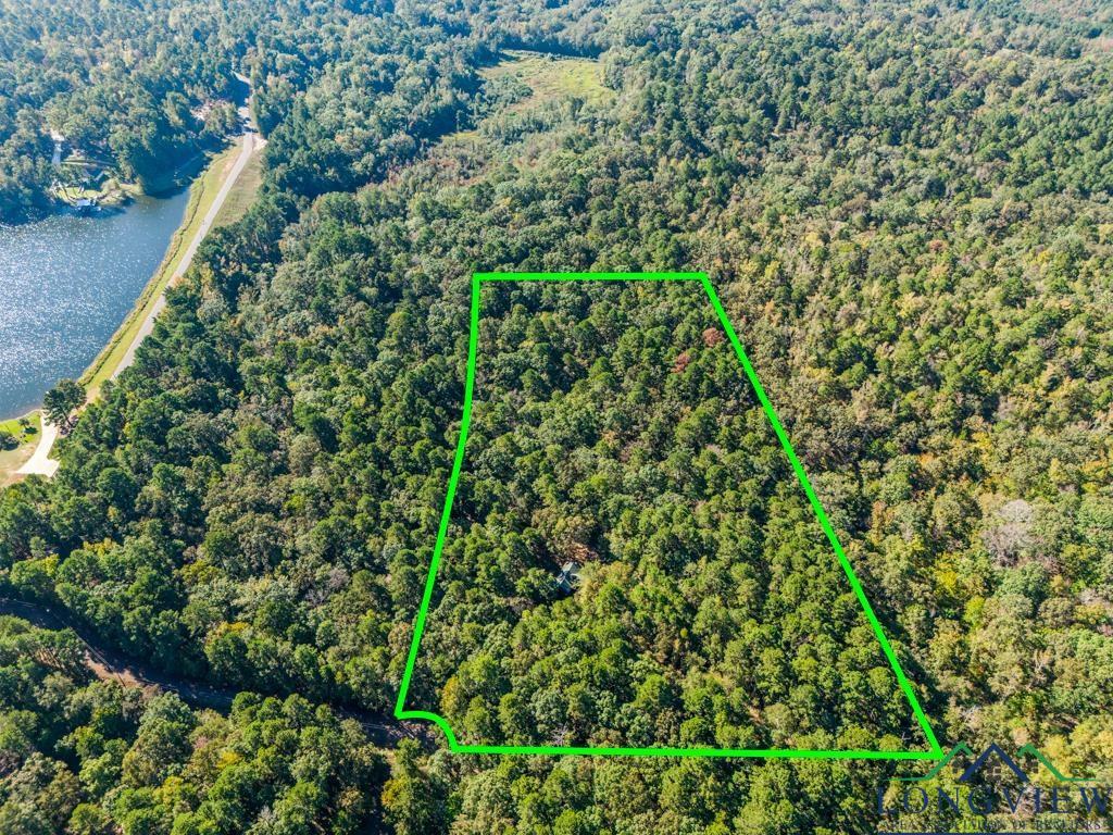 Image 2: Drone / aerial view of a forest, Aerial View