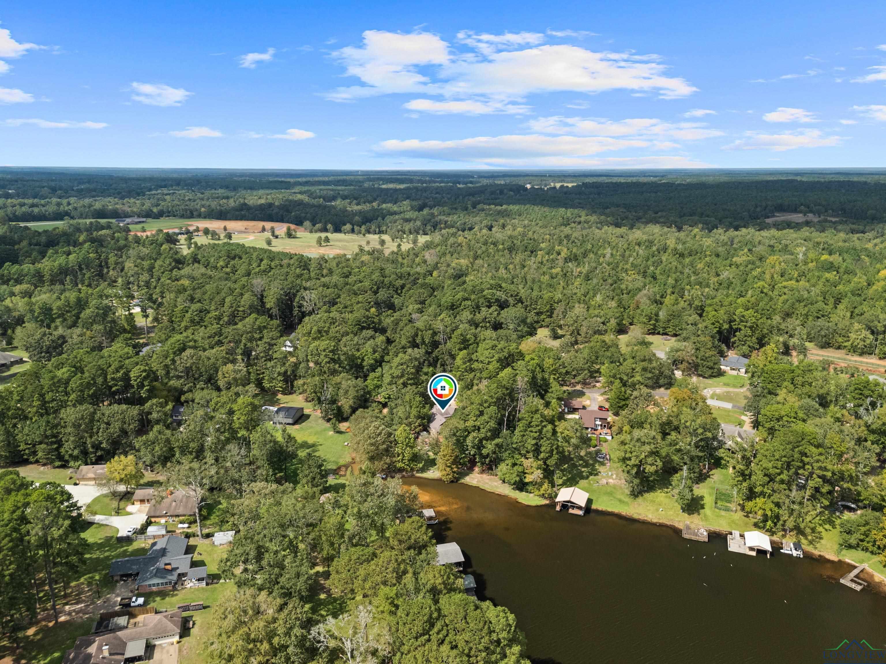 Image 2: Aerial overview of property's location with a forest and a large body of water, Aerial View