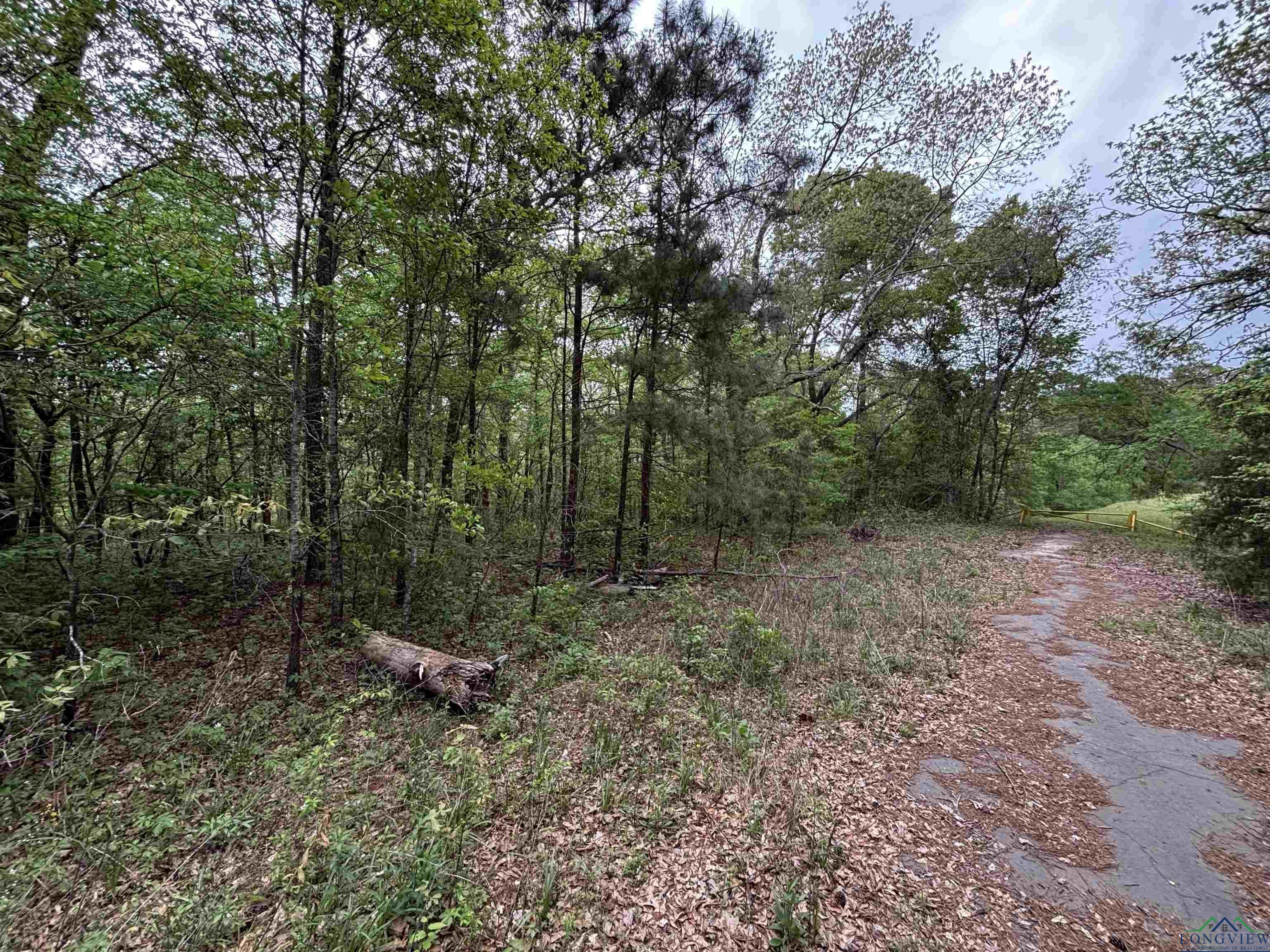Image 0: View of nature featuring a view of trees, View