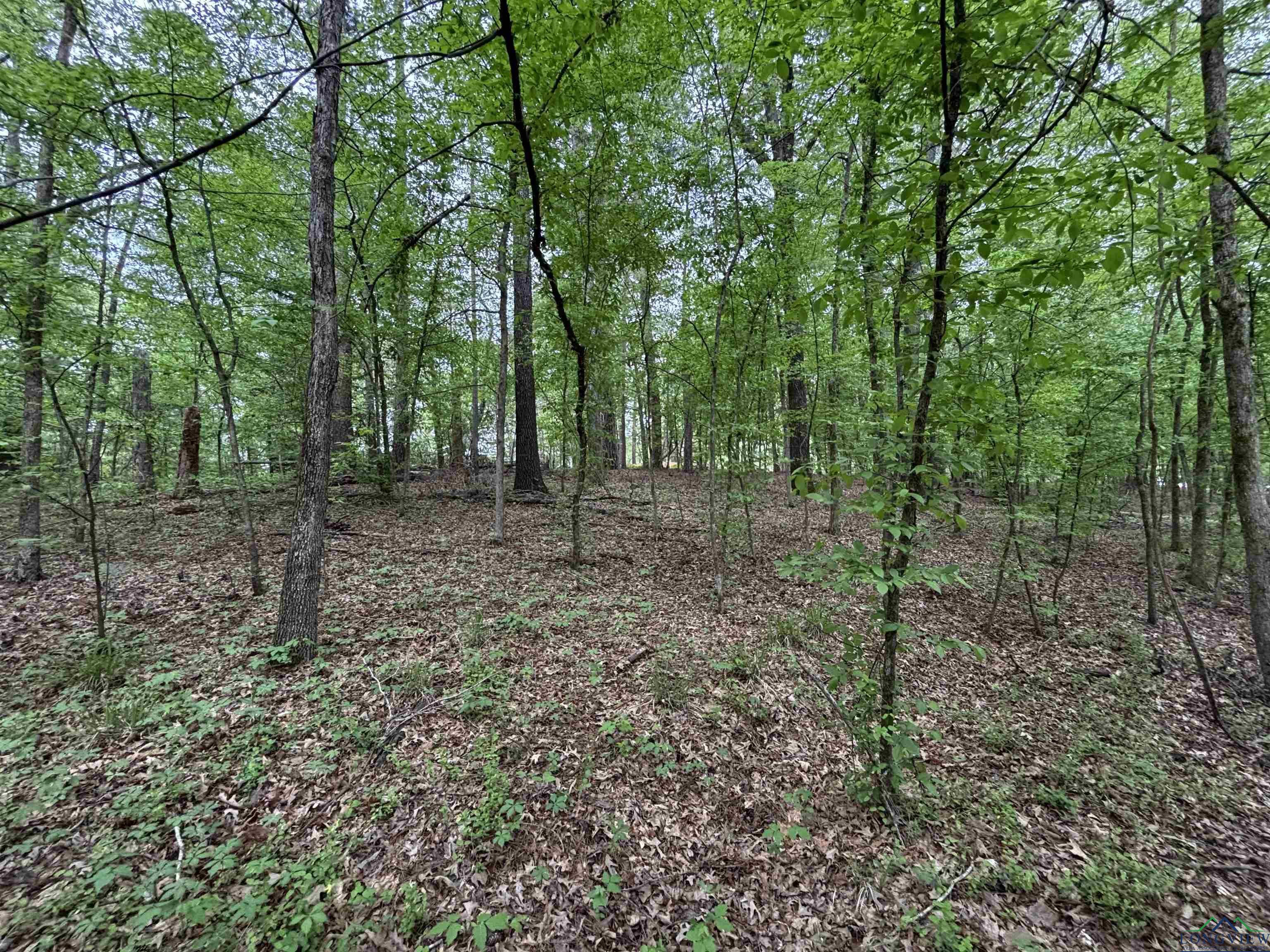 Image 2: View of landscape featuring a wooded view, View