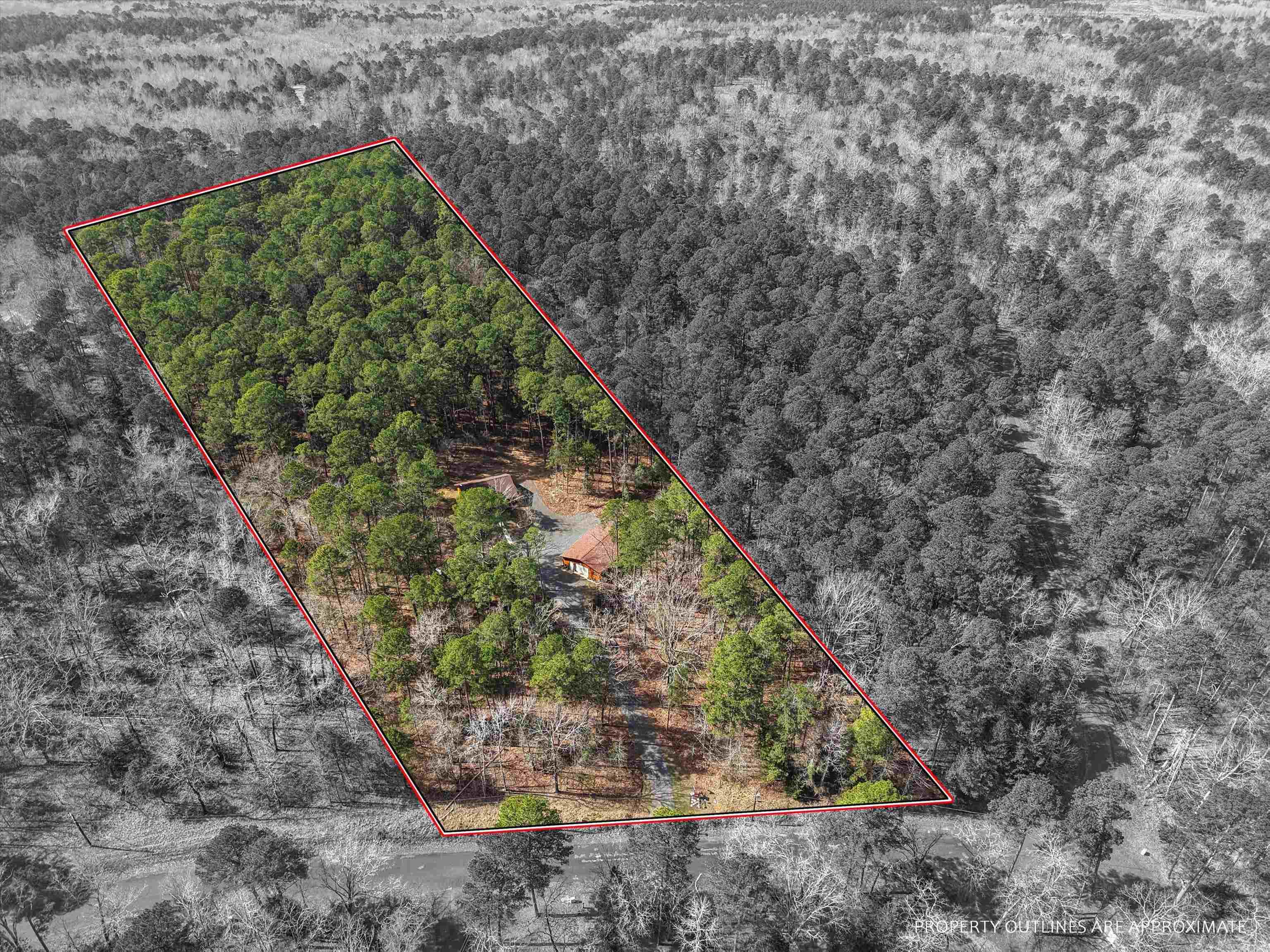 Image 1: Aerial view of property and surrounding area featuring property parcel outlined and a forest, Aerial View