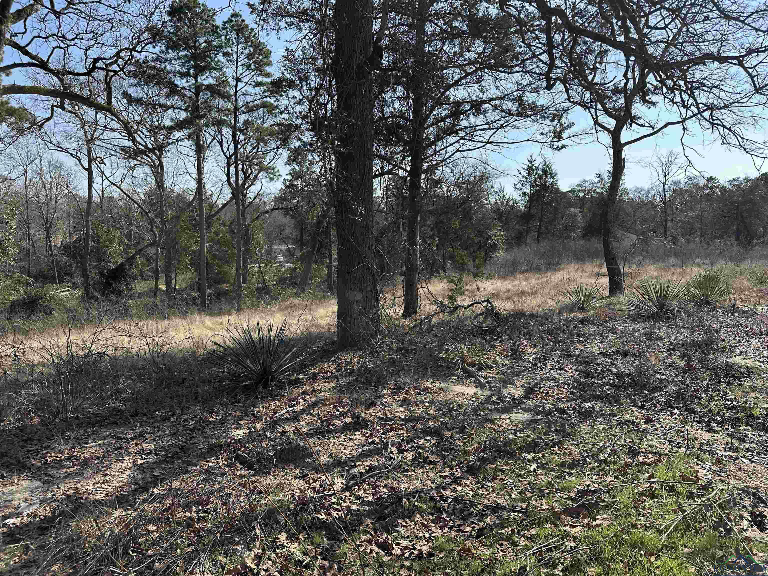 Image 0: View of nature, View