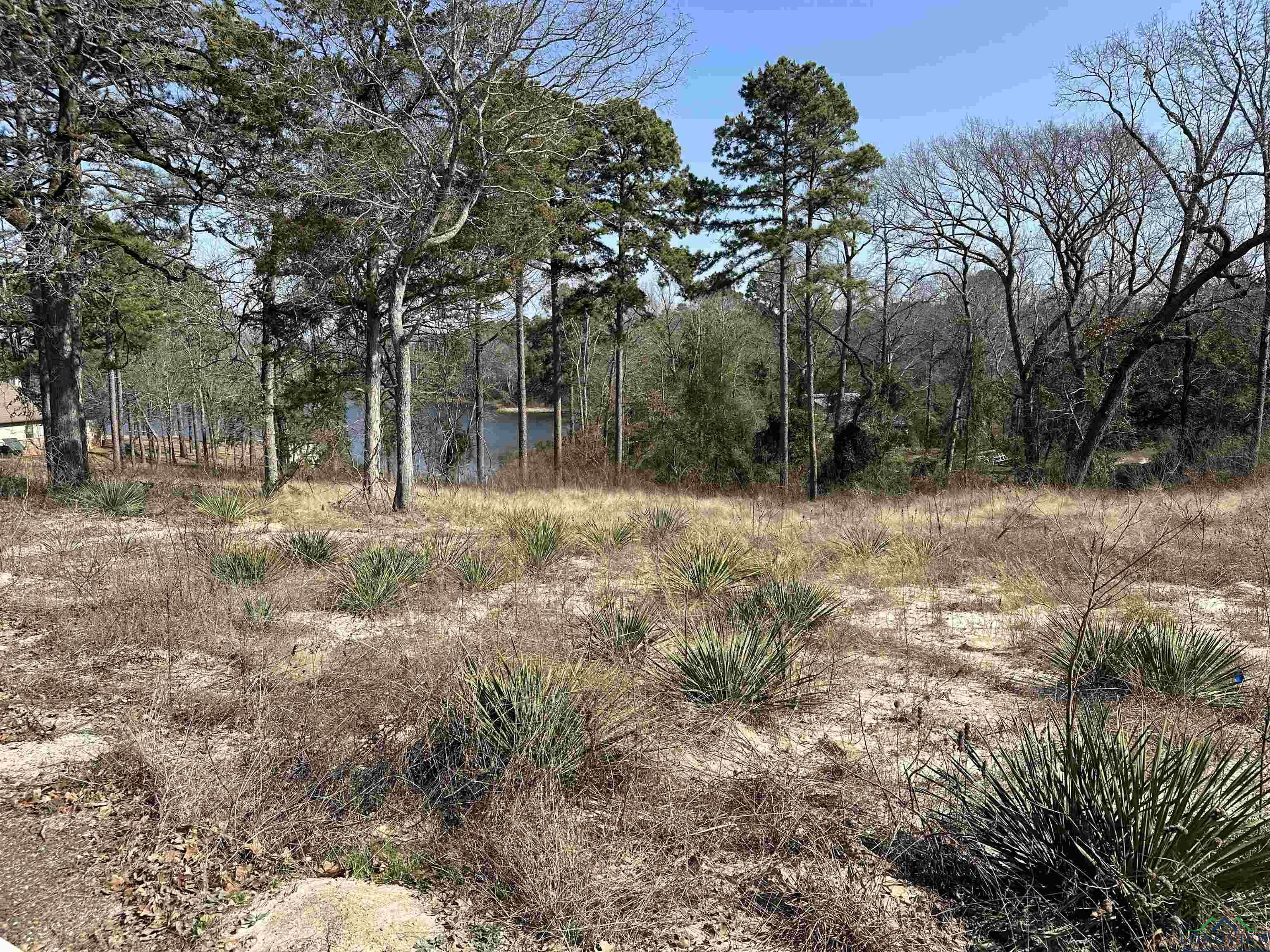Image 2: View of nature with a water view, View