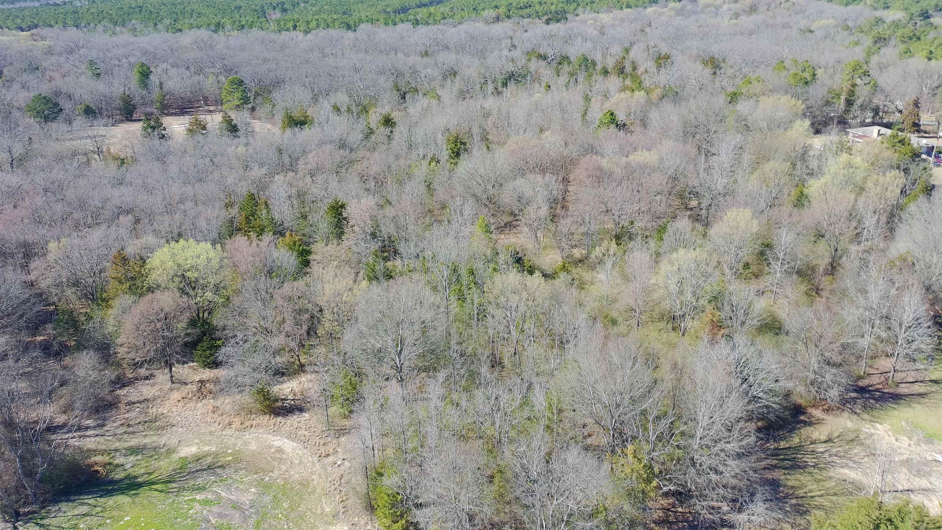 Image 3: Aerial view of a forest, Aerial View