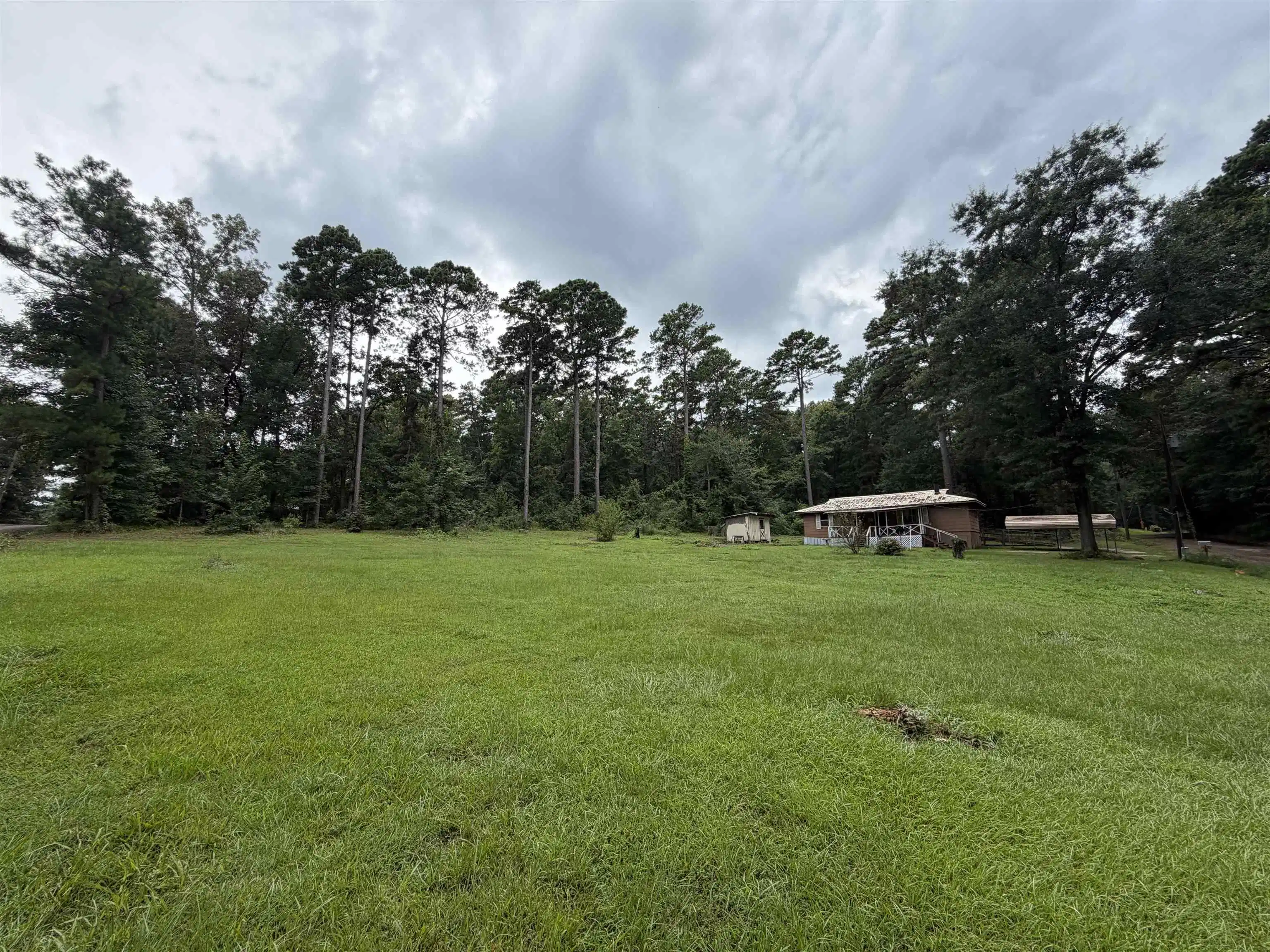 Image 0: Expansive green lawn with mature trees bordering the property on 5 lots, Yard