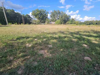 TBD FM 315 & CR 3316