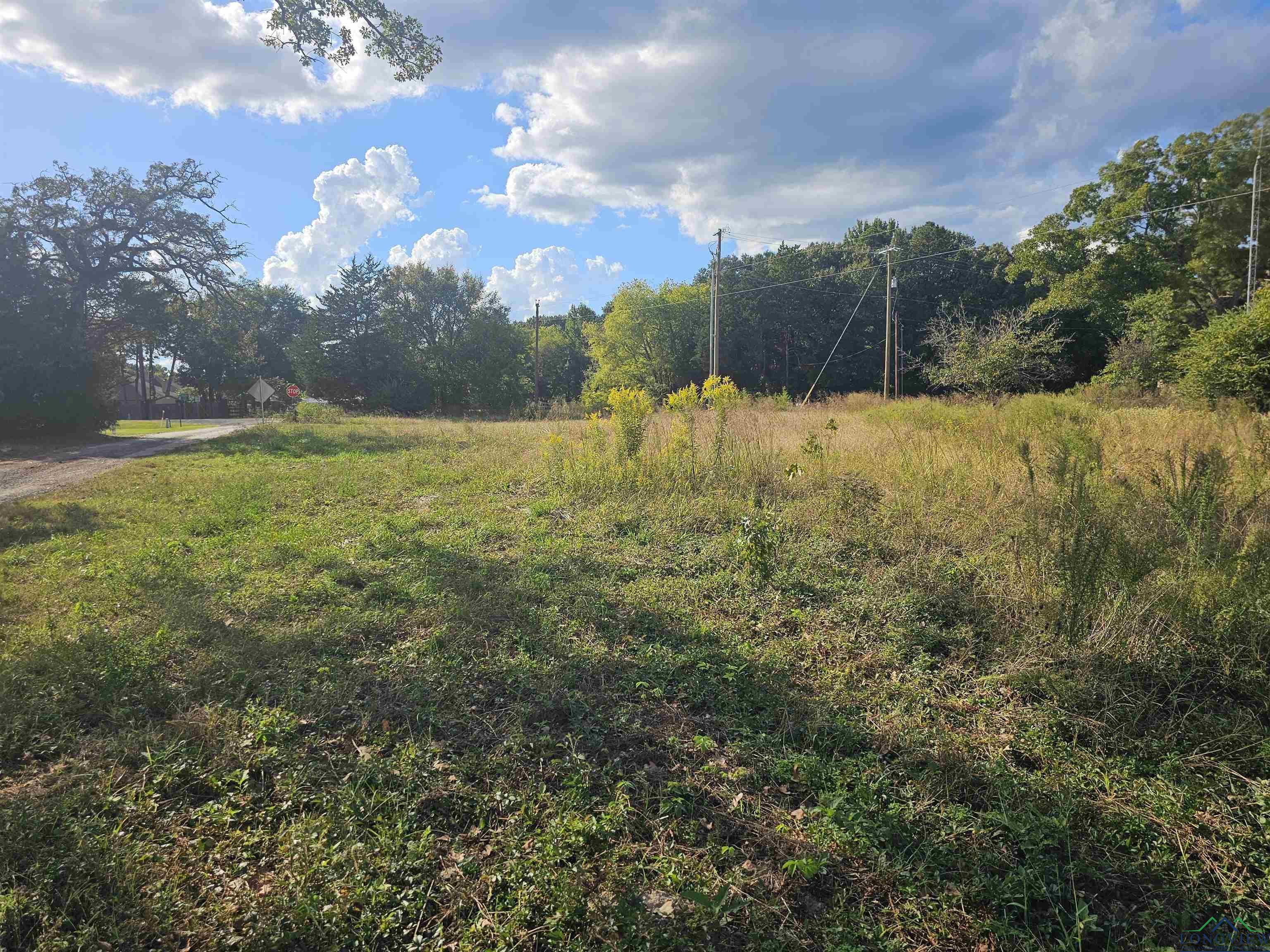 Image 2: View of yard, Yard