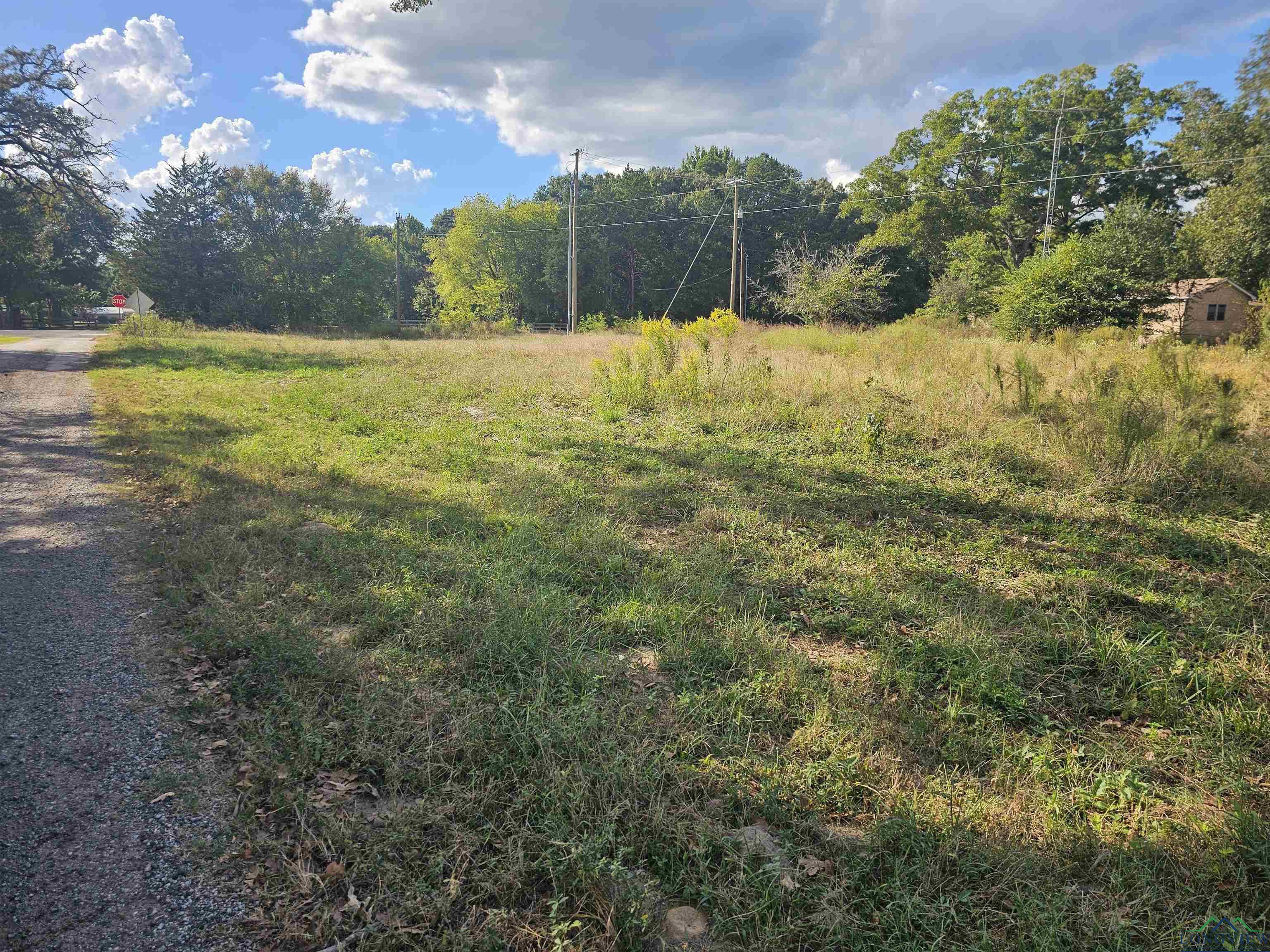 Image 3: View of yard with a forest view, Yard