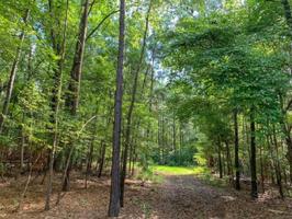 135 County Road 1521