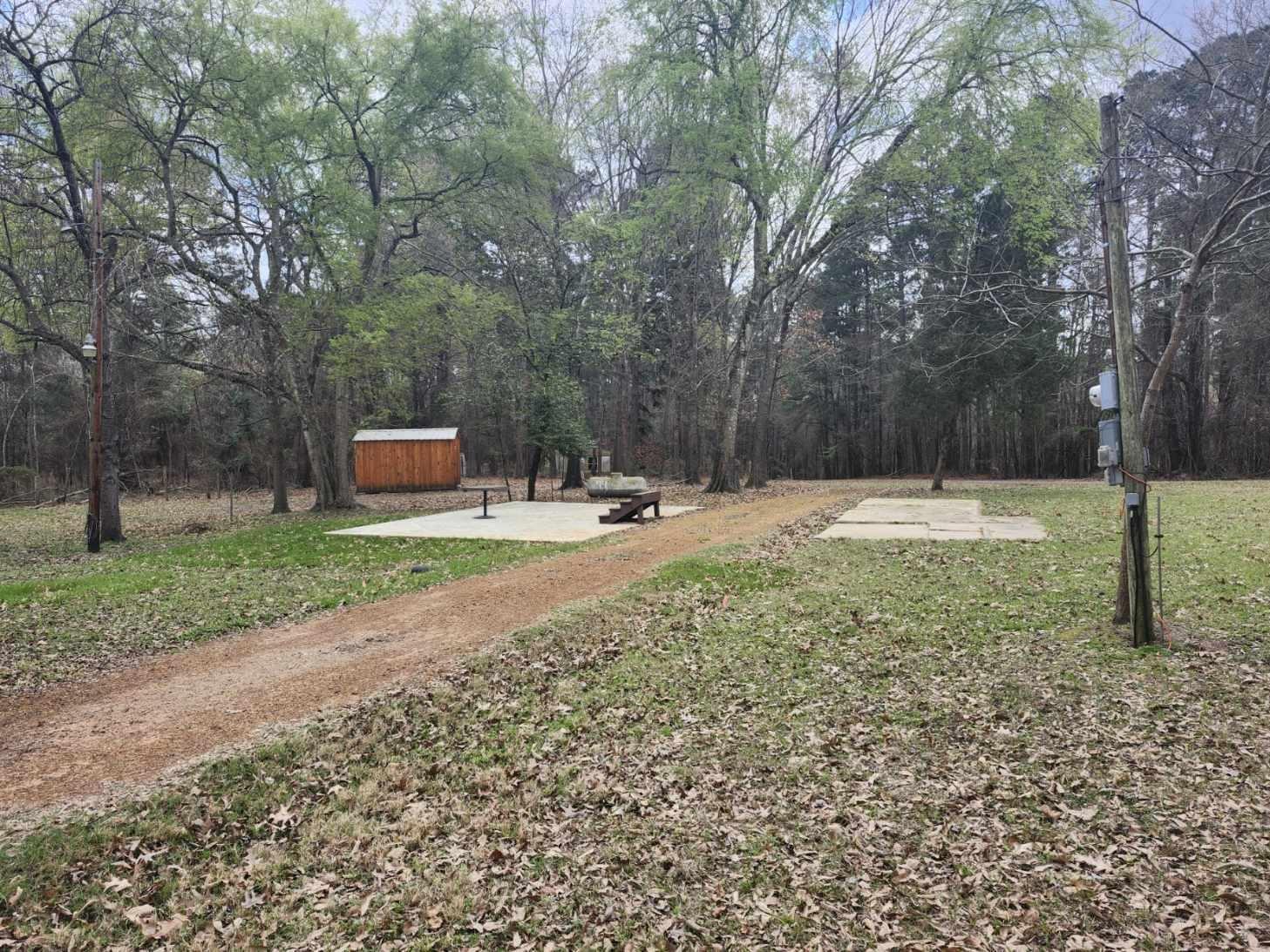 Image 1: View of green lawn with a patio area and an outbuilding, Yard