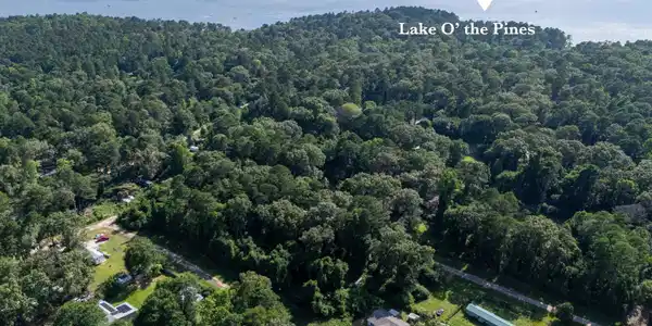 Image 1: Aerial perspective showcasing a sprawling forested landscape with a large body of water in the distance, Aerial View