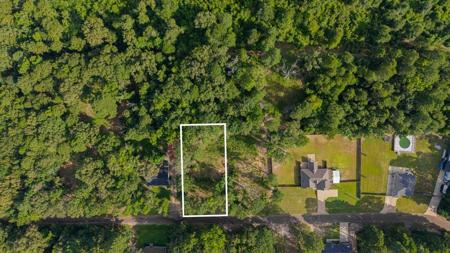 429 Forestwood