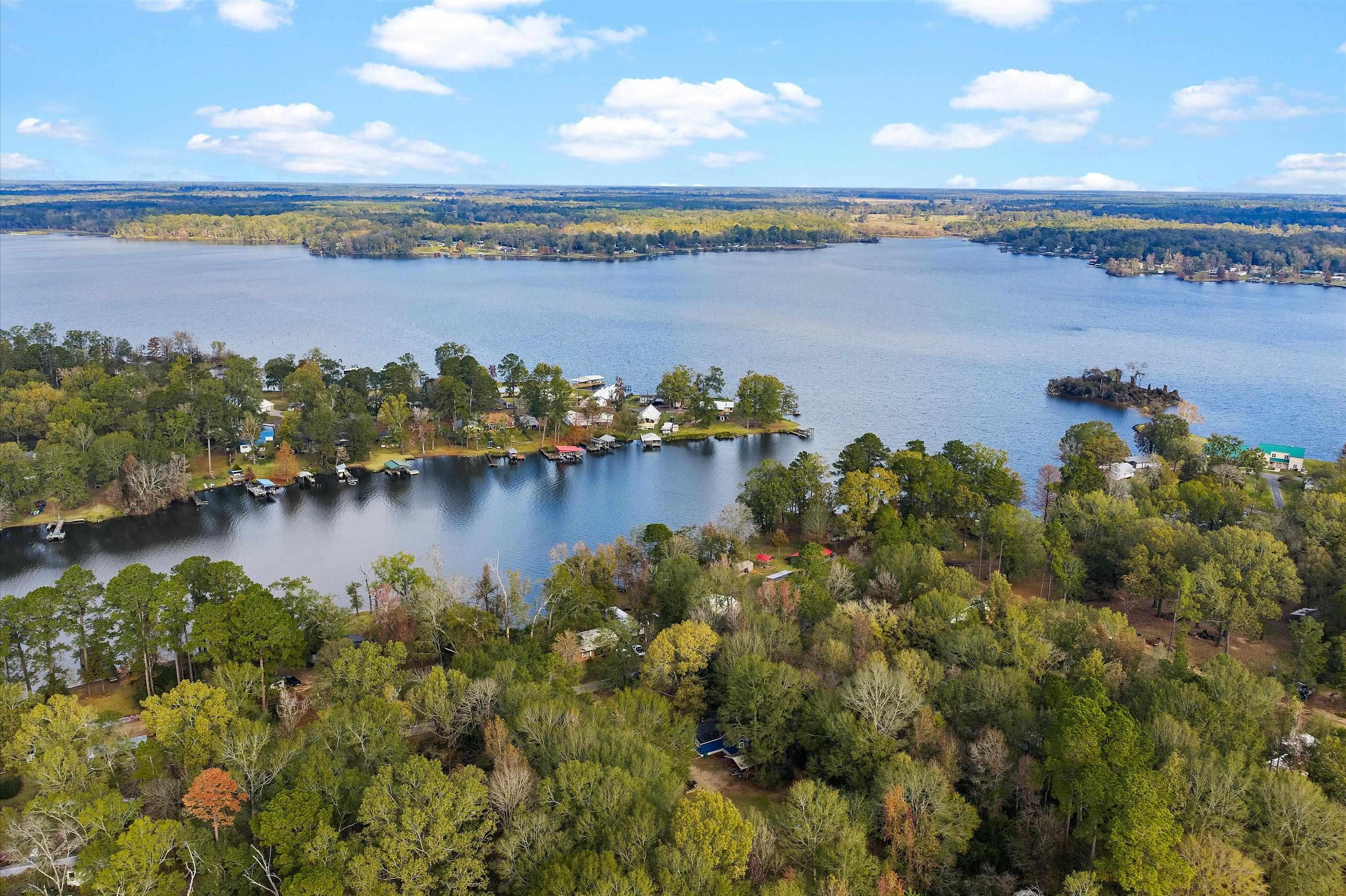 Image 2: Aerial view of property and surrounding area featuring a forest and a large body of water, Aerial View