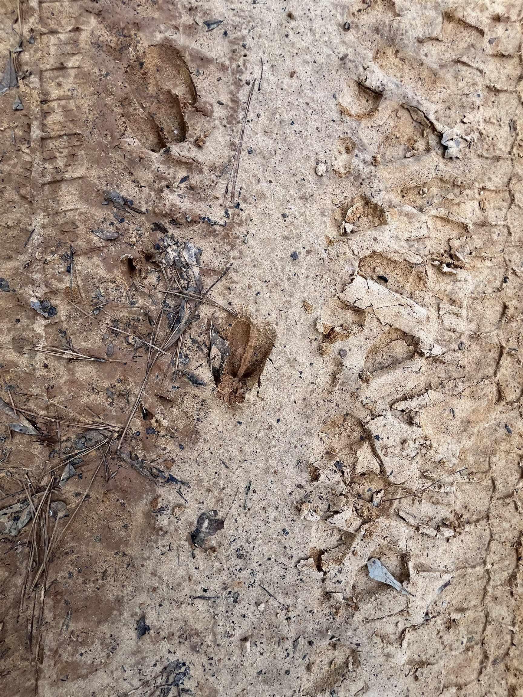 Image 1: Exterior view, Other