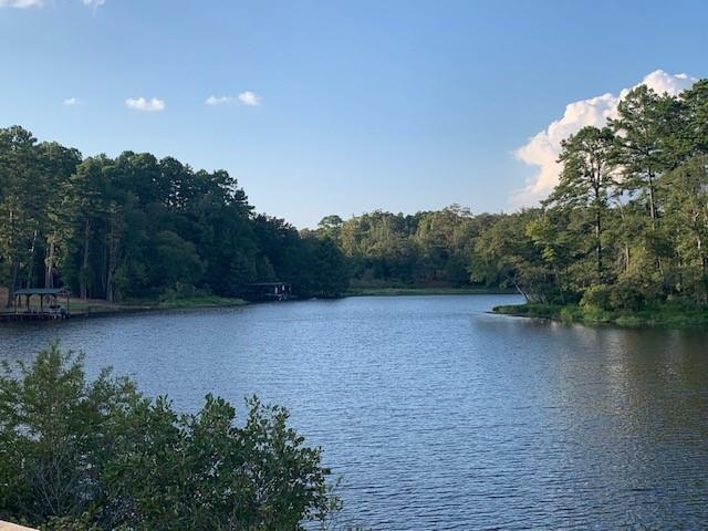 Image 3: Property view of water, View