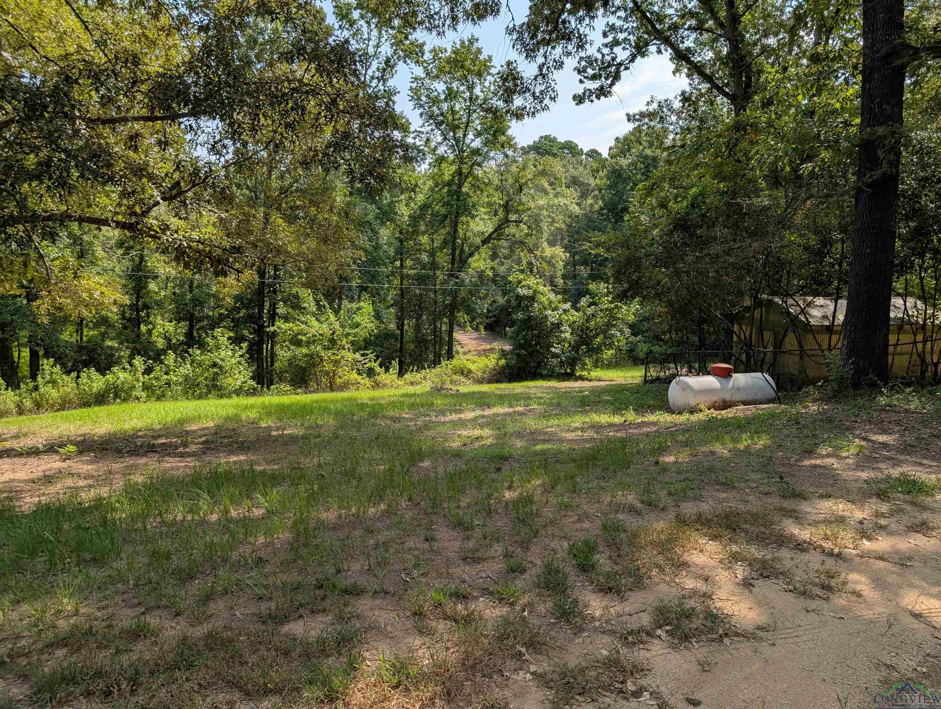 Image 1: View of yard with a wooded view, Yard