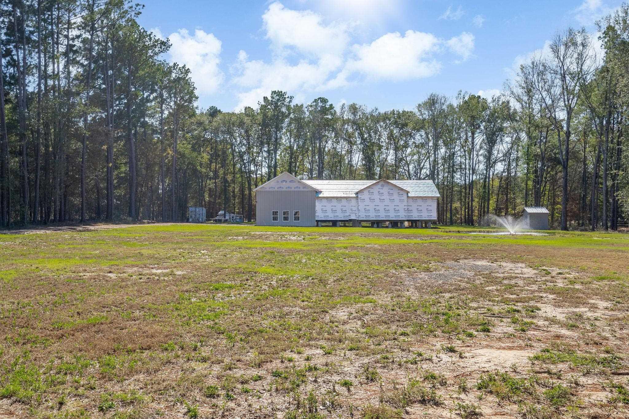 Image 3: View of grassy yard featuring a wooded view, Yard