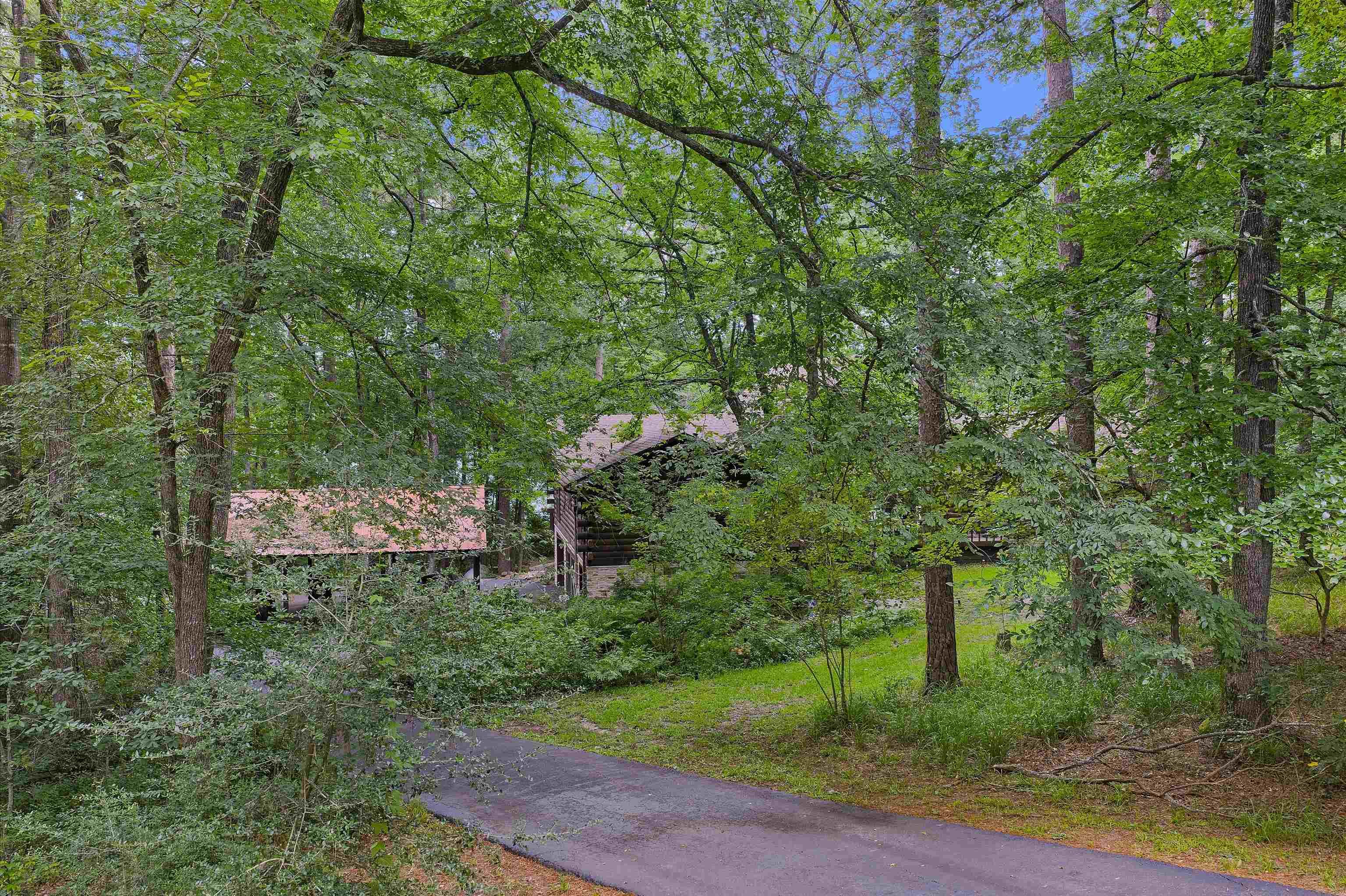 Image 2: Paved driveway entrance surrounded by mature trees, leading to a secluded property with a visible structure featuring a light-colored roof, Community