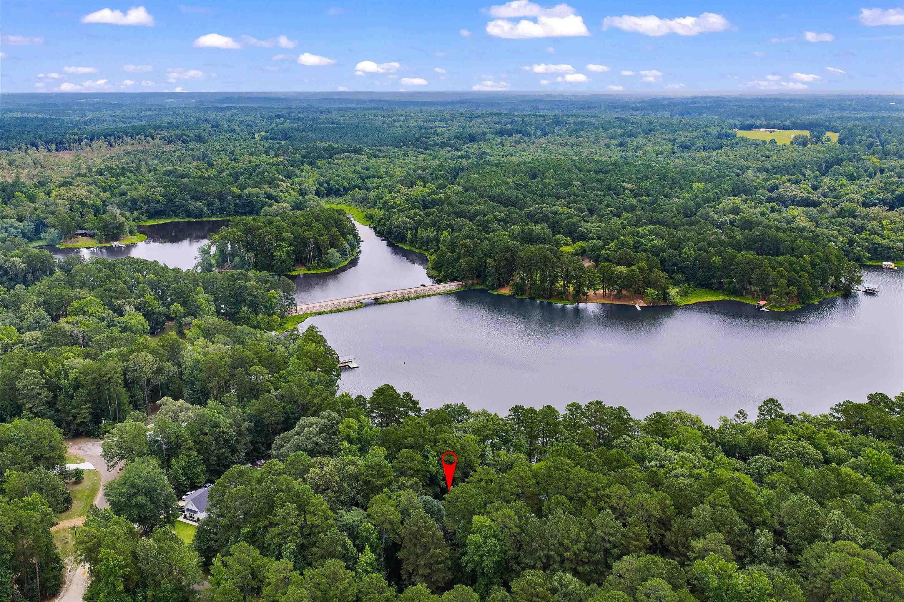 Image 3: Expansive natural landscape featuring a serene lake, abundant mature trees, and a bridge, Aerial View