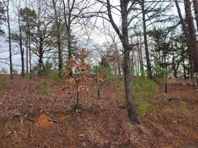 TBD WHITE FIR