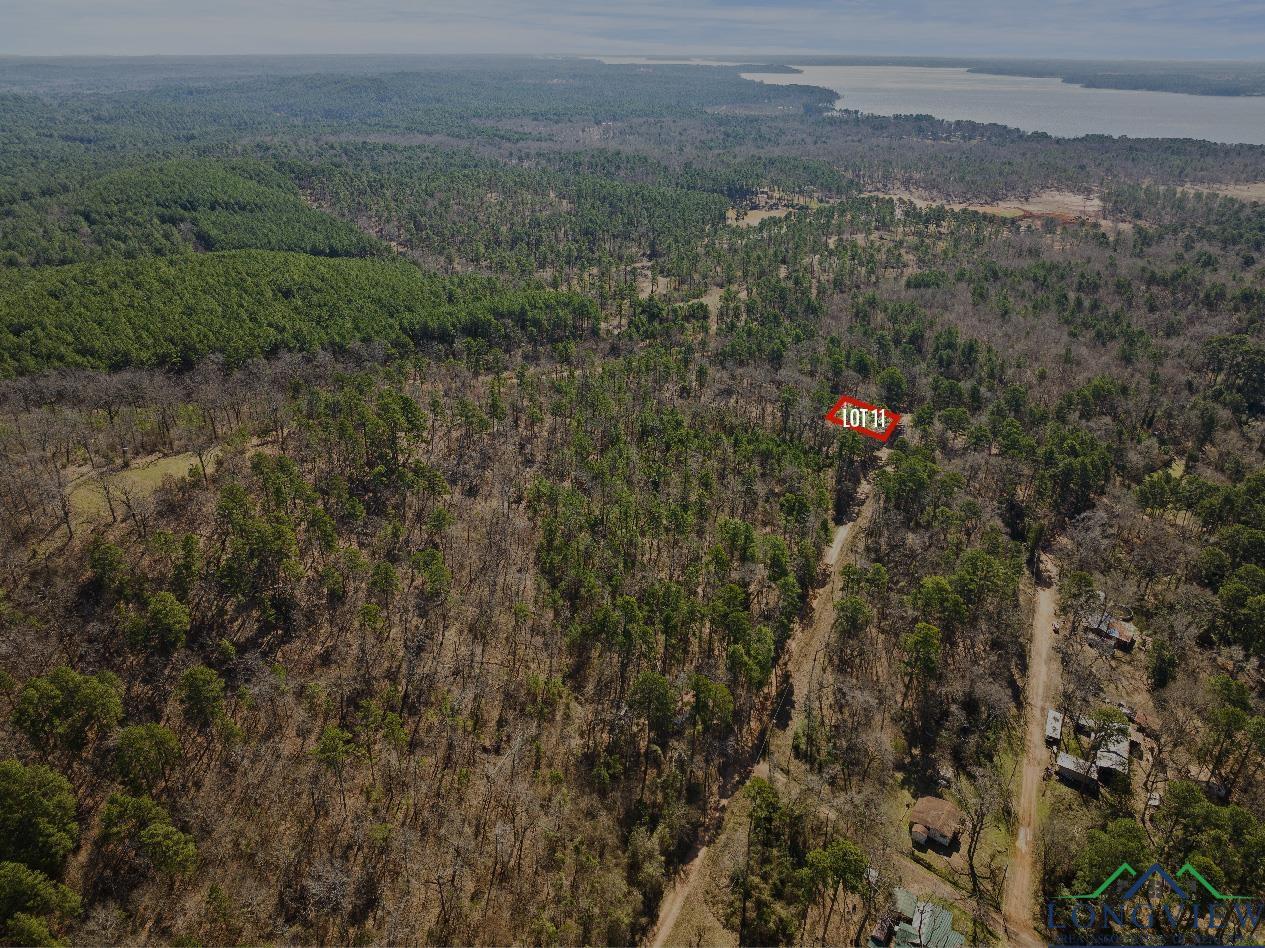 Image 0: Aerial view with a water view and a view of trees, Aerial View