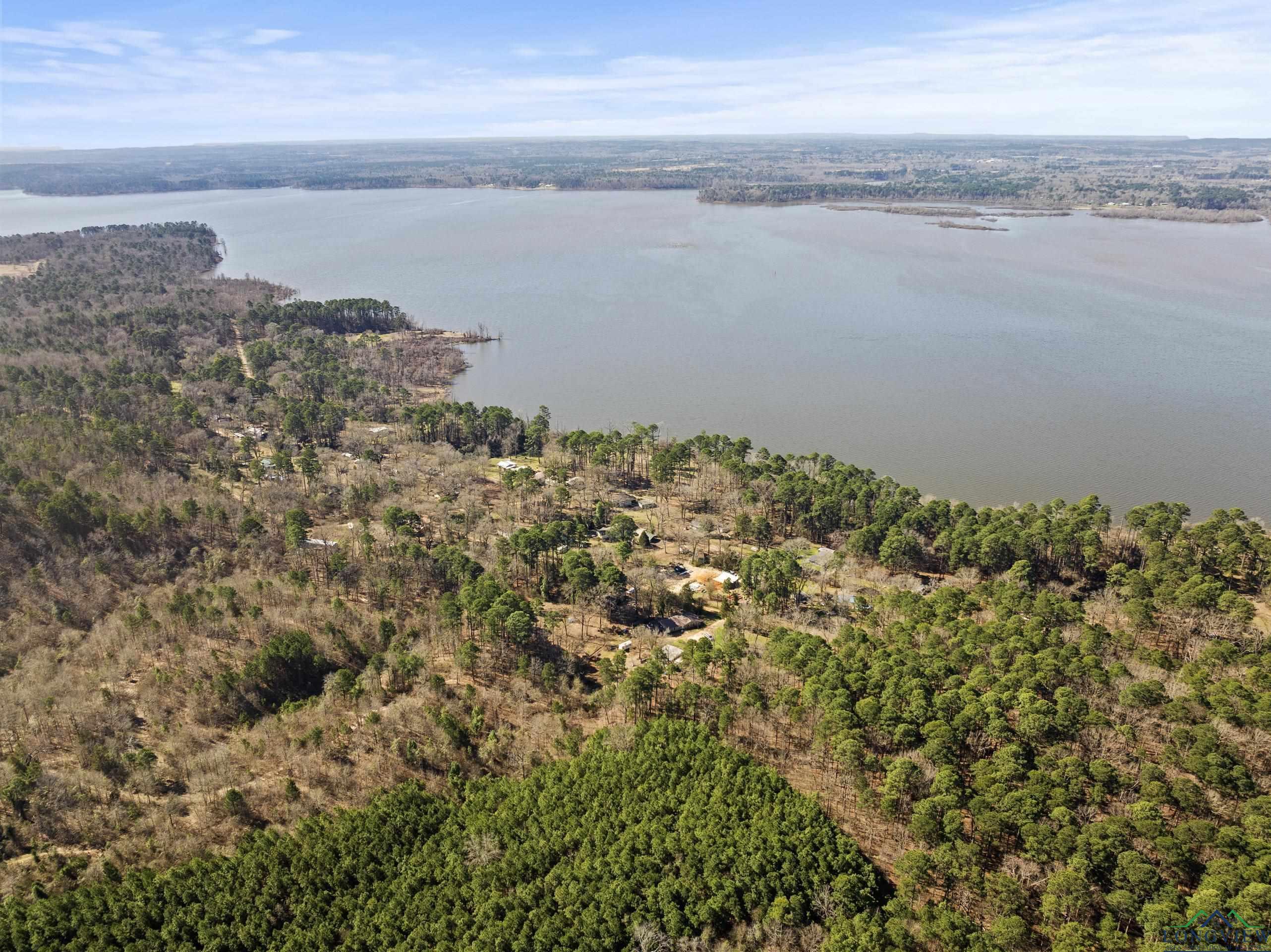 Image 3: Aerial view with a water view and a forest view, Aerial View