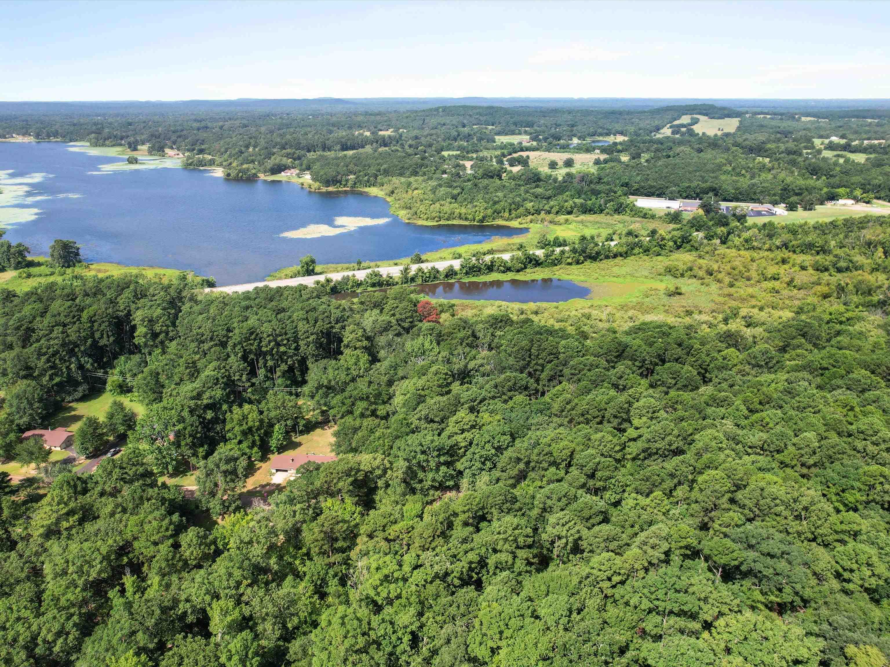 Image 2: Bird's eye view of a heavily wooded area and a nearby body of water, Aerial View