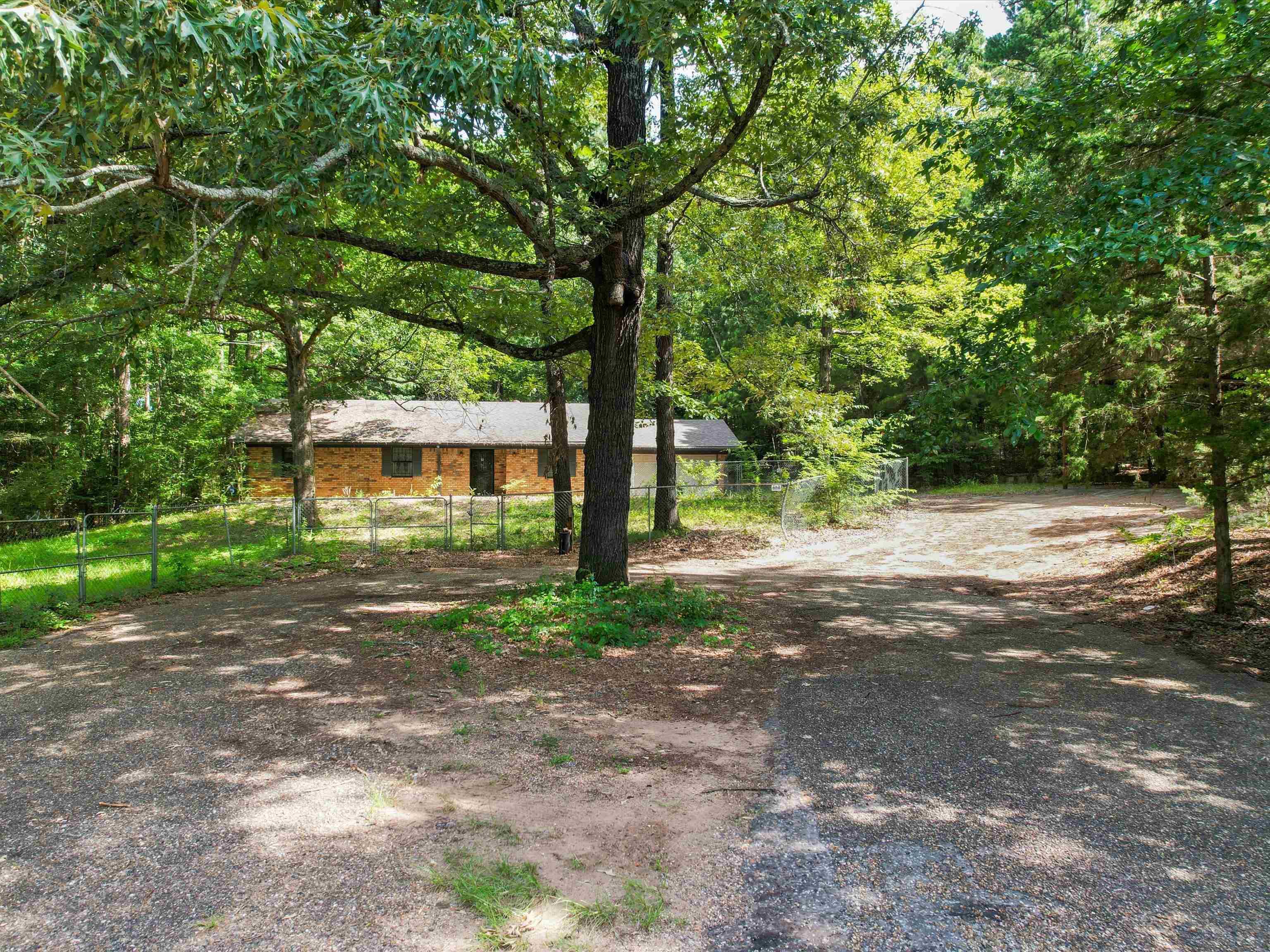 Image 3: View of yard, Yard