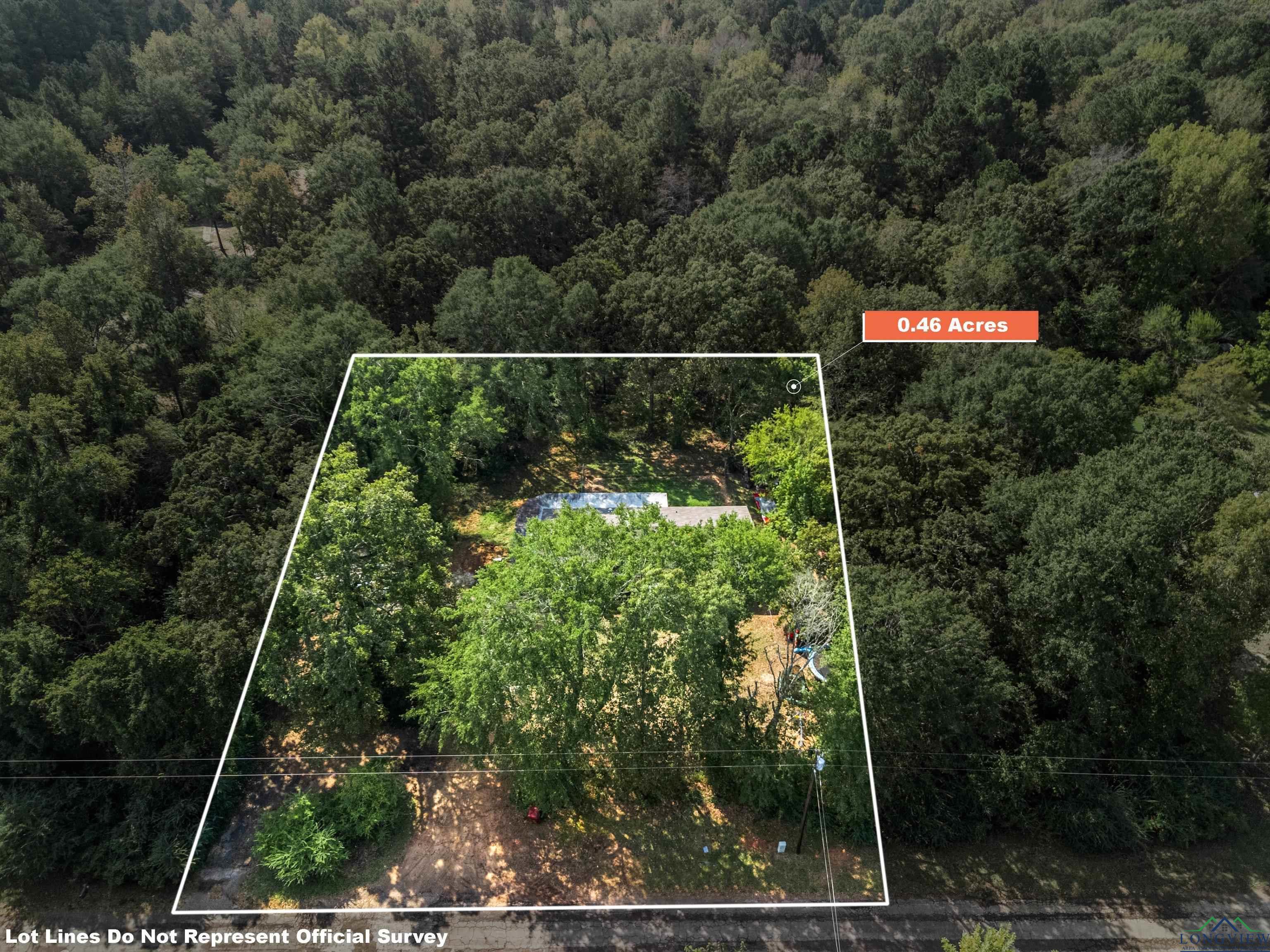 Image 3: Aerial view of a forest, Aerial View