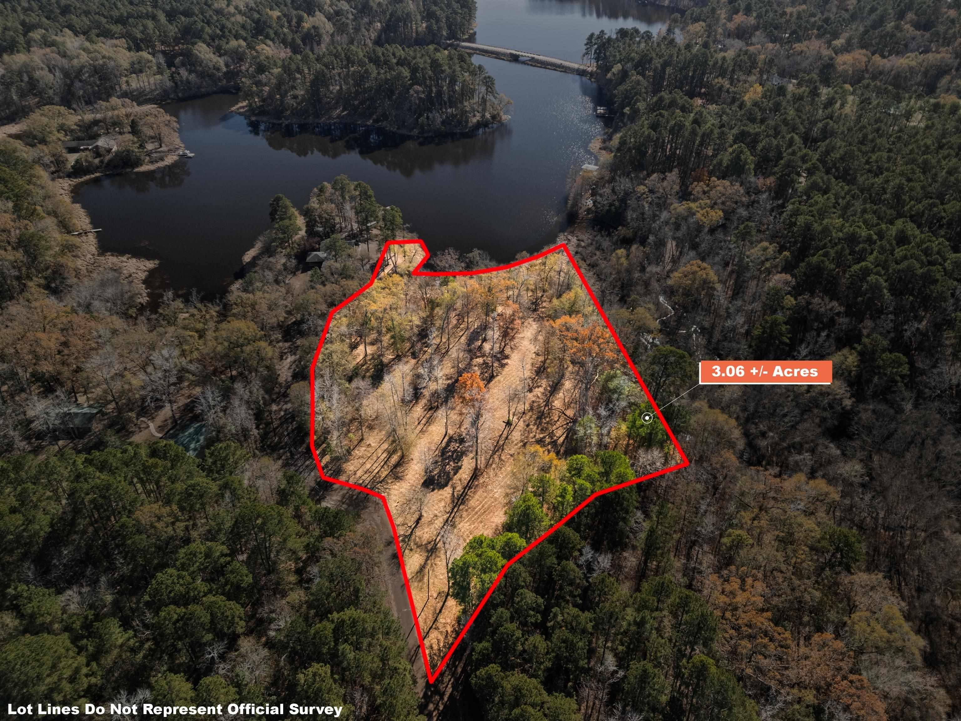 Image 3: Aerial view of property and surrounding area with property parcel outlined and a large body of water, Aerial View