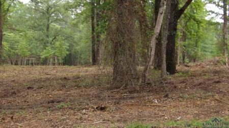 LOT 1 COOPER LAKE RD