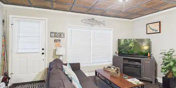 Image 3: Living Room