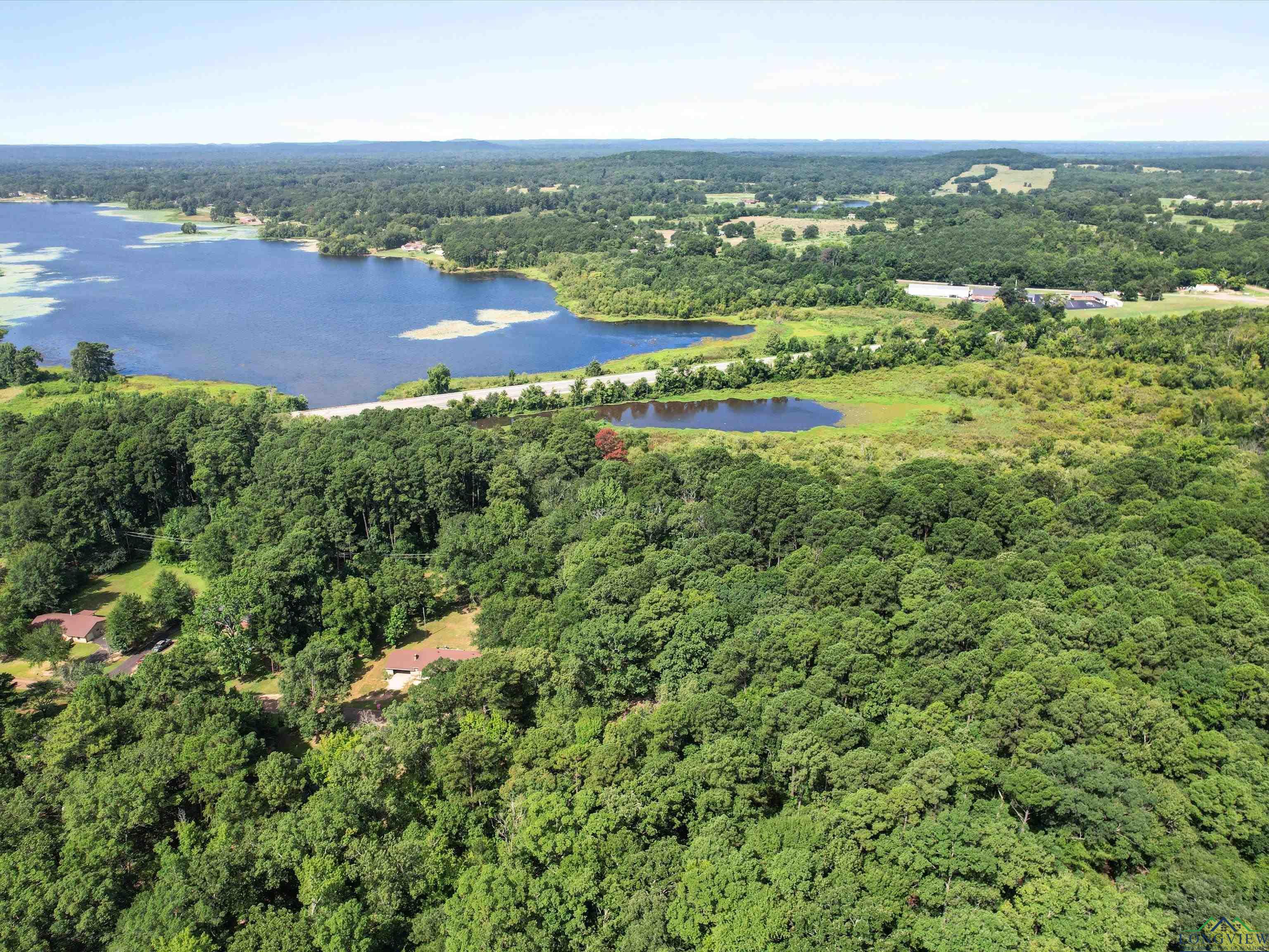 Image 2: Bird's eye view of a heavily wooded area and a nearby body of water, Aerial View