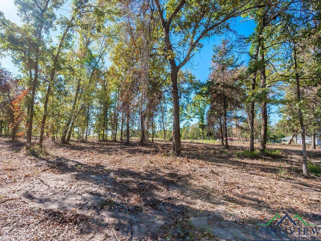 Image 2: View of local wilderness, View