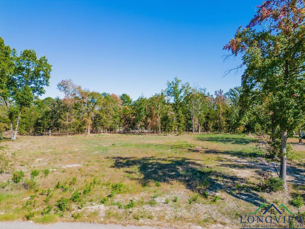 Image 2: View of yard, Yard