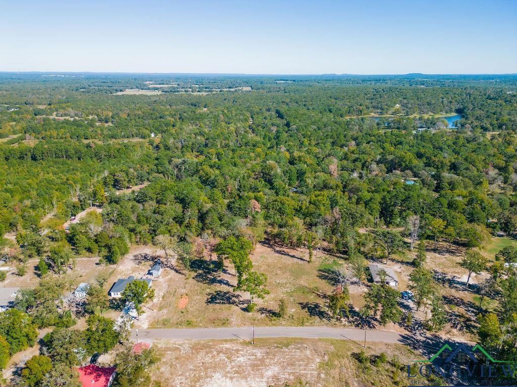 Image 3: Bird's eye view of a forest, Aerial View