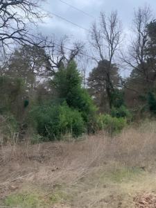 22781 Dogwood Trail