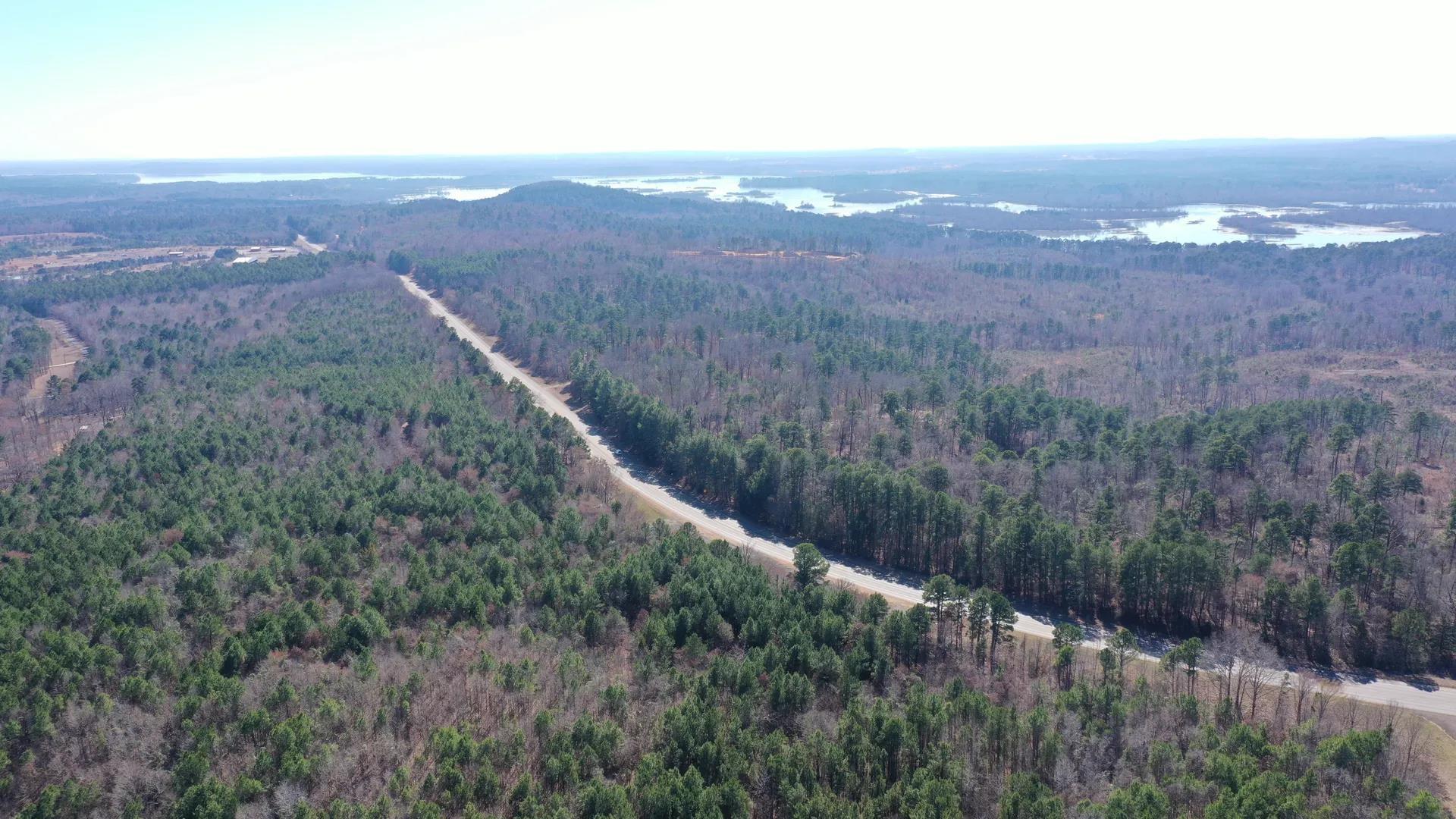 Image 2: Drone / aerial view of a forest, Aerial View