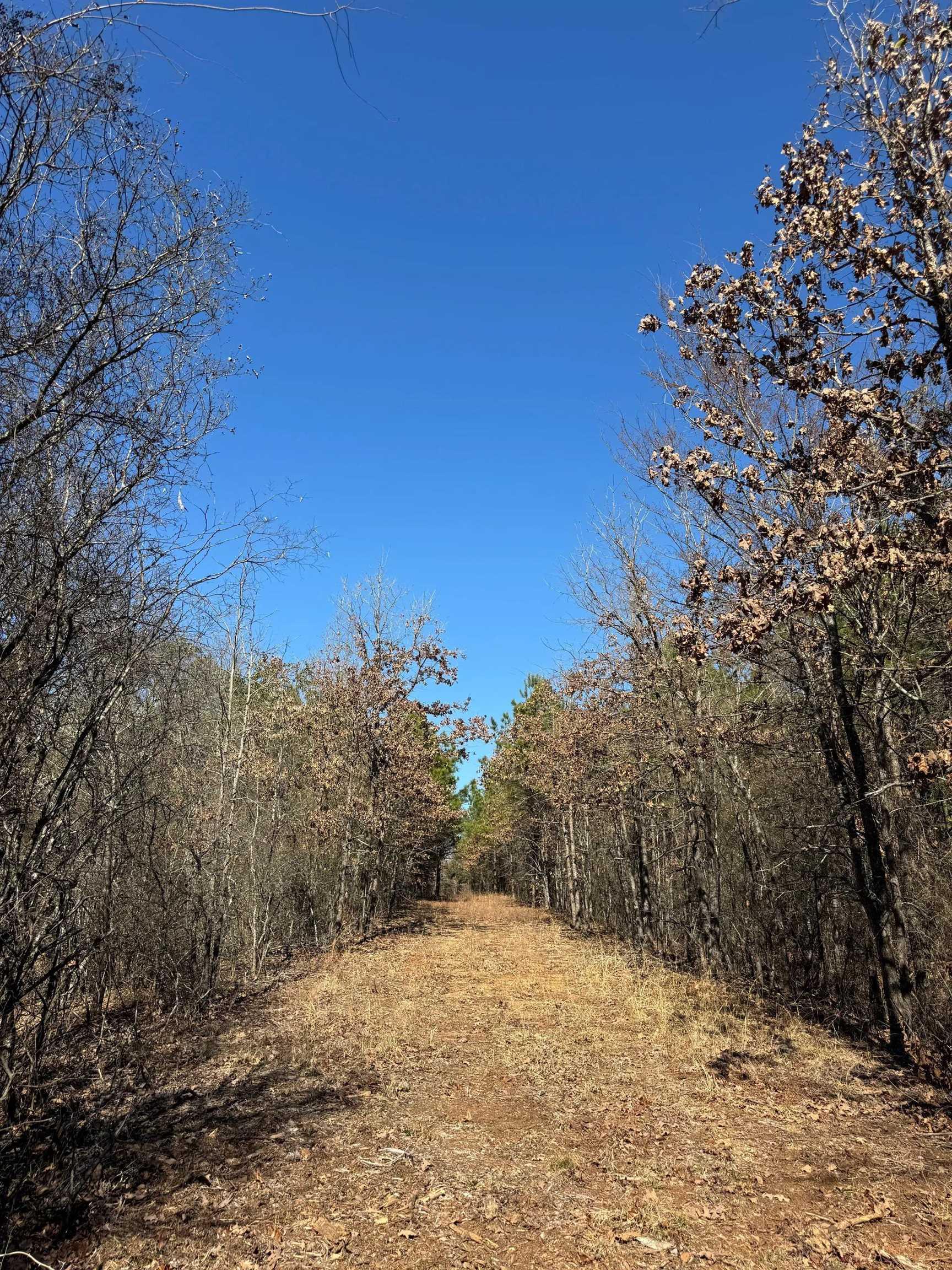 Image 3: View of nature, View