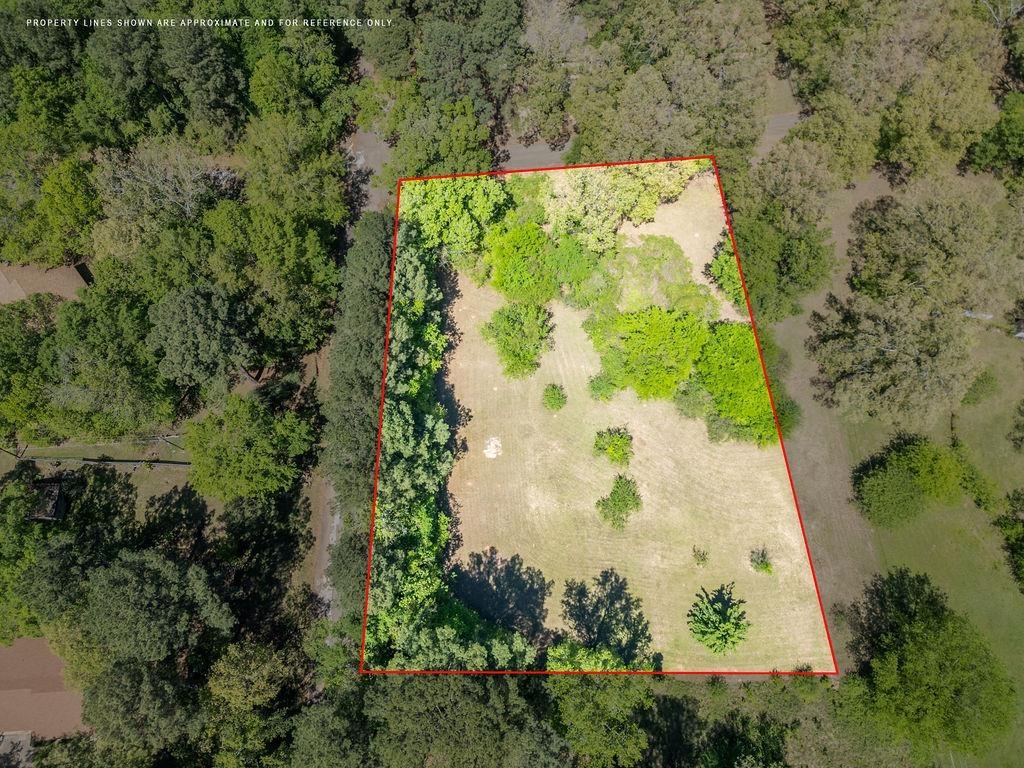 Image 1 Image 1