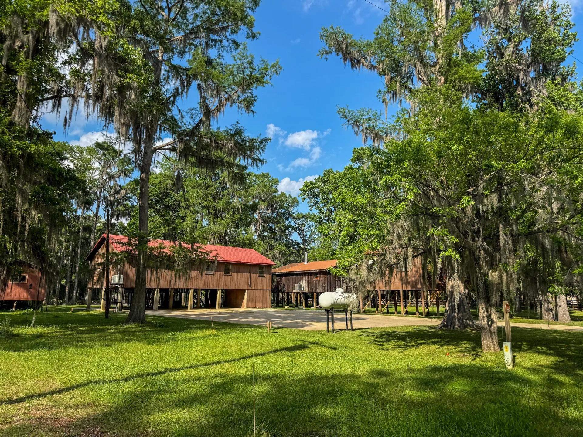 Image 2: Expansive green lawn with mature trees and multiple elevated structures featuring red roofs, Community