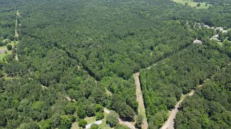 32 Acres FM 248