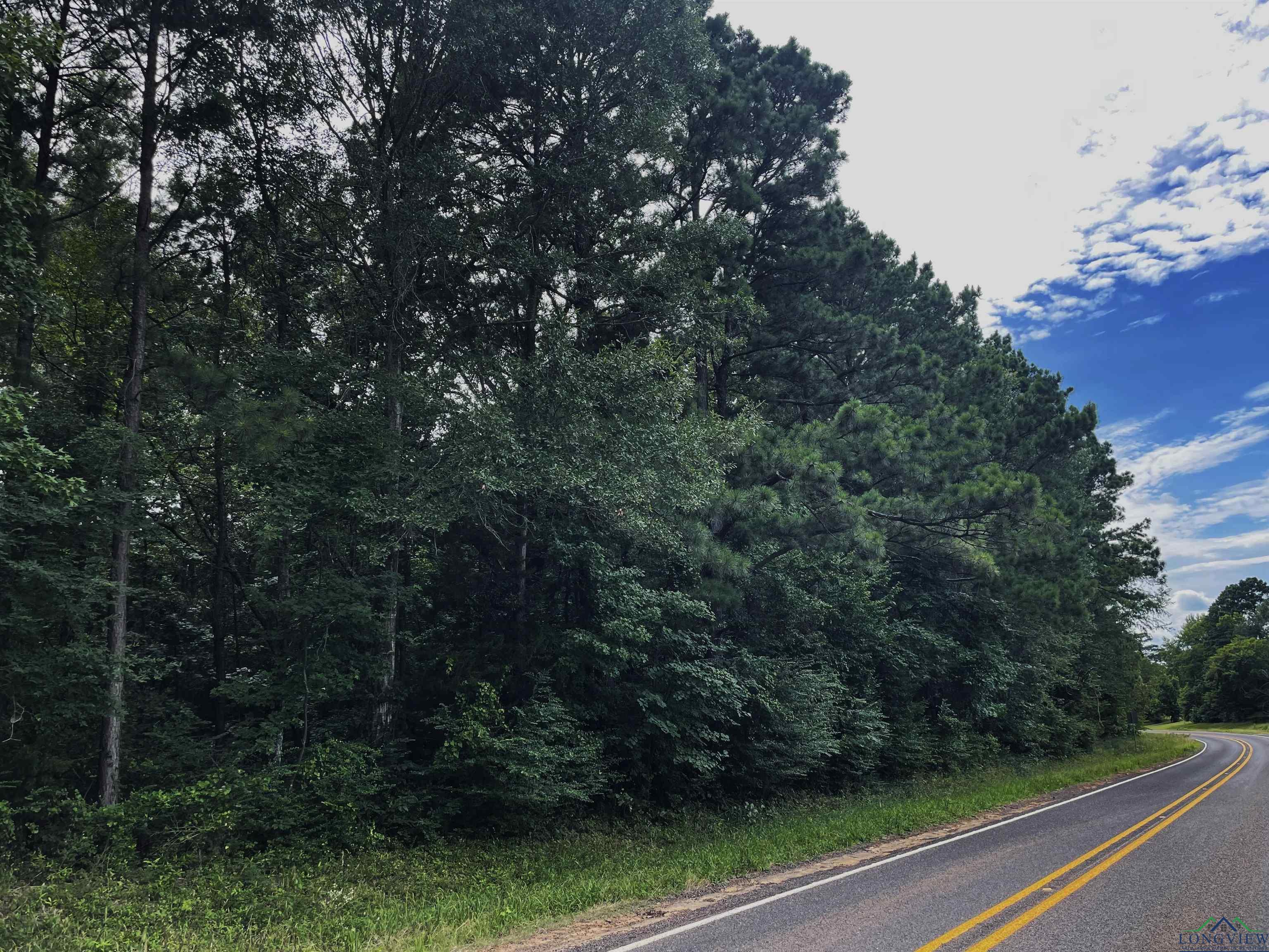 Image 0: View of asphalt street featuring a wooded view, Road Frontage