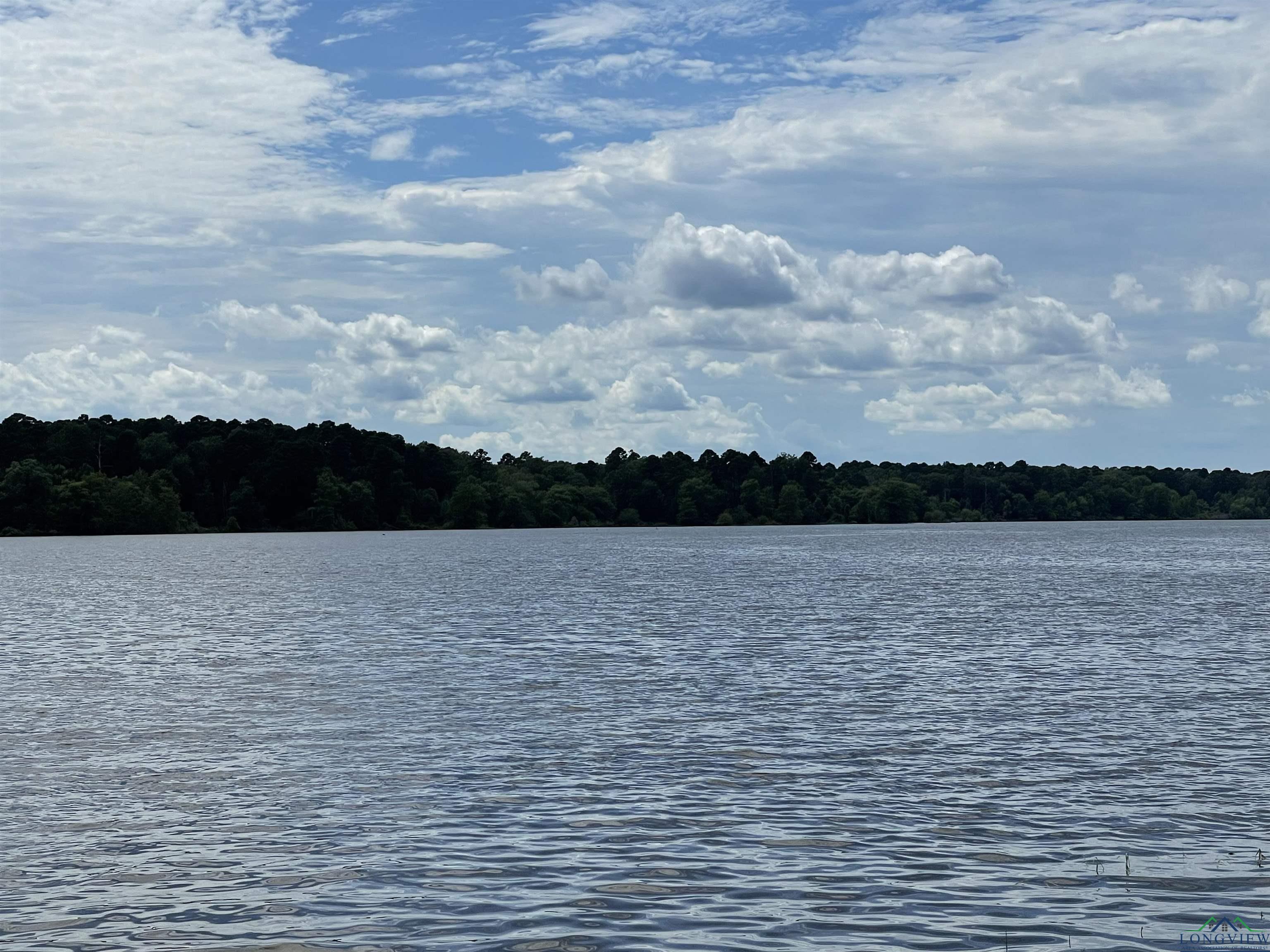 Image 3: Water view with a forest, View